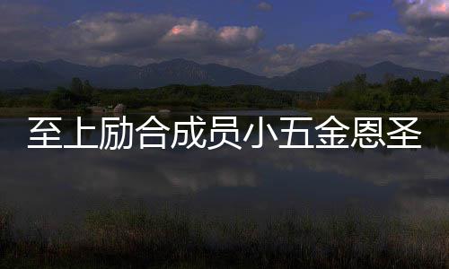 励合两人懒理檬 功求小五至上争议成员圣成婚张金恩