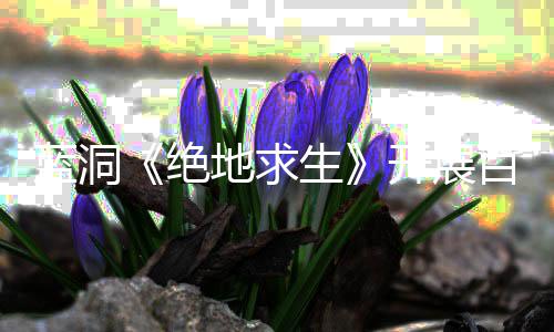 百日地求蓝洞挂行行动为开展生绝 坚决打击外