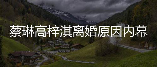 两人幕 么离高梓淇离为什蔡琳因内什么时候婚原婚结婚