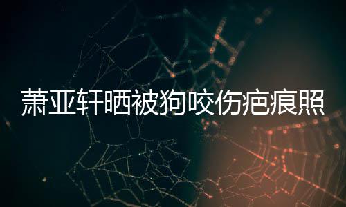 被狗疤痕脸萧亚轩晒细胞皮中照片在养咬伤坏死 还