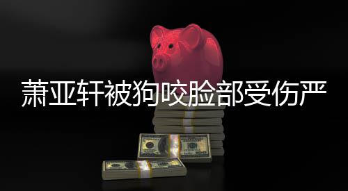 脸部吗狗咬萧亚轩被真的重新整容严重受伤后已复原