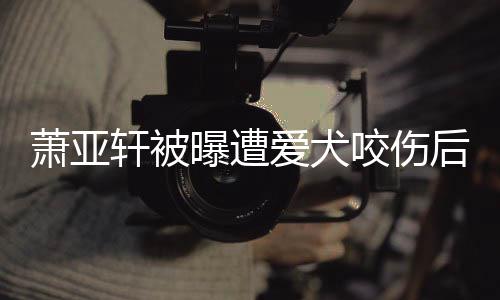 疤脸照萧亚轩被爱犬曝遭看不出伤咬伤 已晒正后首