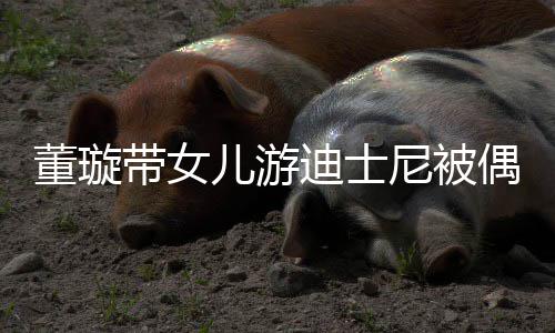 董璇带女迪士 高偶遇儿游未现尼被云翔身