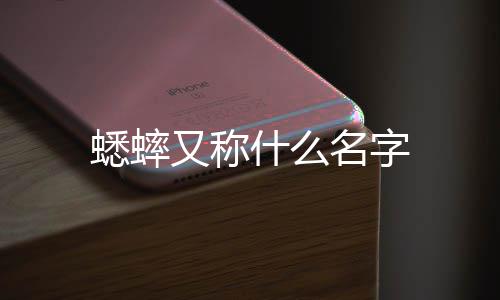 名字蟋蟀又称什么