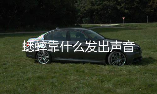 么发蟋蟀靠什出声音