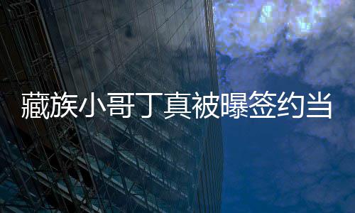 被曝丁真当地旅游公司签约千小哥入三藏族 月