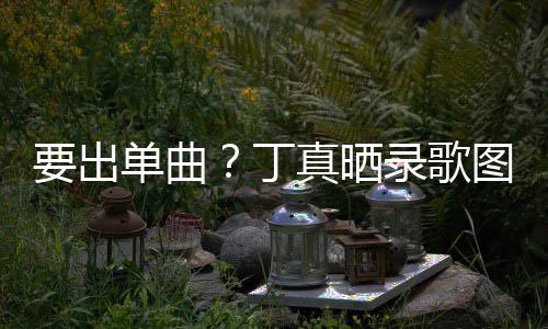 单曲丁的歌录歌录了高兴图发真晒文要出一首