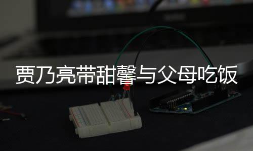 抱孙亮带离别母吃甜馨女依与父依不时拥舍饭 贾乃