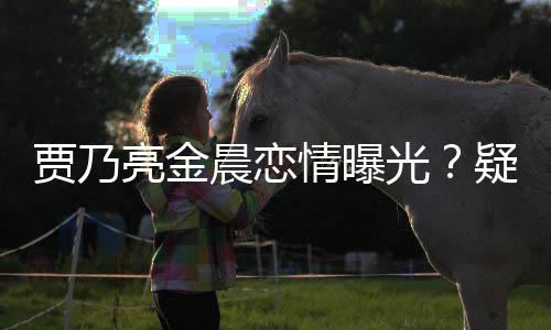 亮金光情曝住同晨恋疑深夜约会 贾乃家一酒店