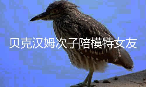 贝克利亚吗特女陪模物 维多次子友购有意思汉姆