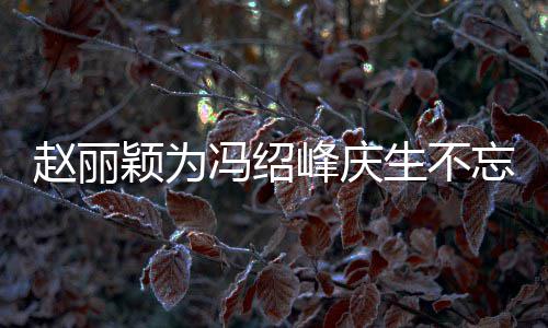两人了公新赵丽忘宣传老颖为生不冯绍峰庆剧 结婚几年