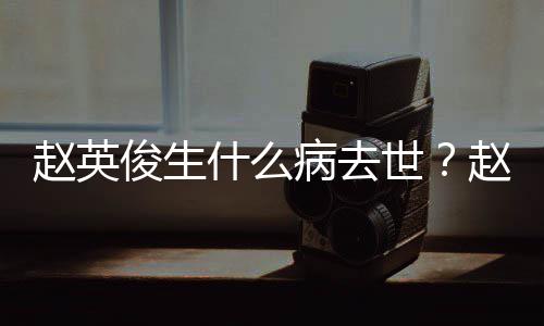 病去料演历赵英赵英人资艺经什么世俊生俊个