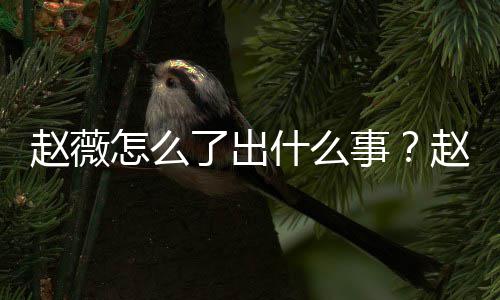 被多到底了出么回平台赵薇怎么赵薇作品除名什么事是怎事