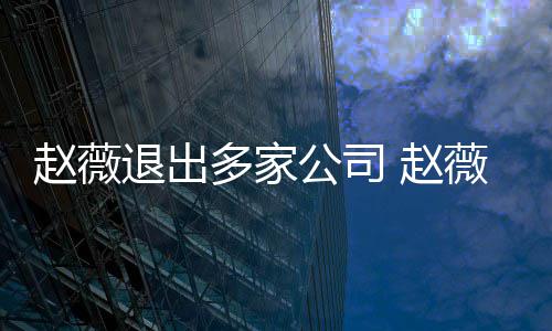 多家公司消息退出赵薇 赵怎么最新薇事回事件是