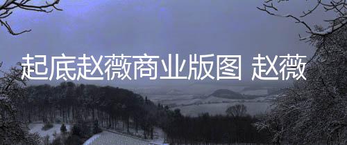 版图被禁起底赵薇 赵怎么薇黄入市年是场5有龙商业回事