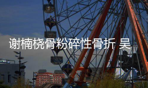 妻子谢楠性骨透露折 吴京桡骨成功手术粉碎