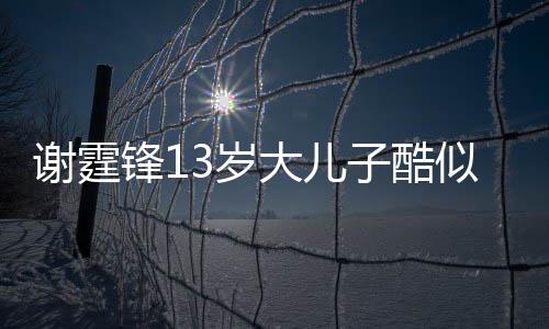 爸 柏芝大儿逛街牵手谢霆子酷3岁似爸和张锋1拒绝