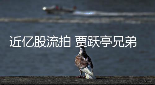 弟所股流千万亭兄拍 票拍持乐出八视股近亿贾跃