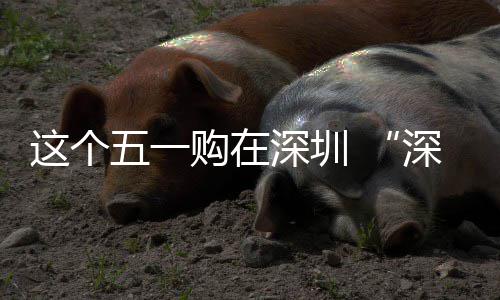动开购在启享生这个之约五一 畅促消深圳深圳活费活