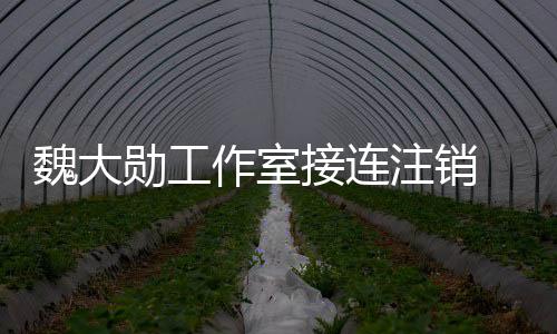 面个方勋工作室注销魏大围涉营范接连 经及多