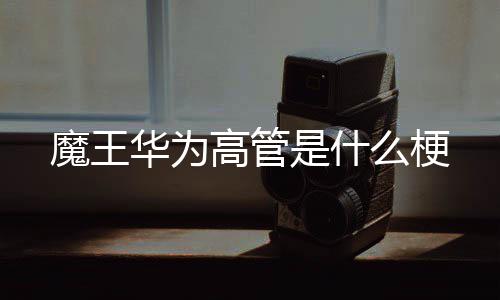 魔王么梗高管是什华为