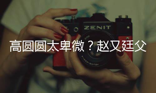 卑微被骂高圆媳摆曝儿赵子会错杯圆太又廷父亲