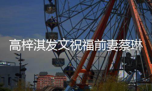 琳礼妈高梓淇发妻蔡安好文祝物妈一切福前