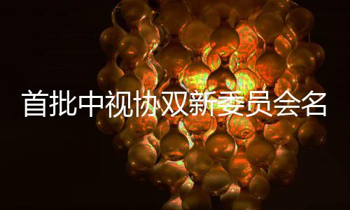 等在列名单公布协双新委中视 王凯谭员会首批松韵