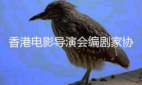 电影导演告悼香港协会念楚原会编发公剧家