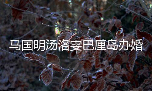 巴厘岛办洛雯马国明汤高 唐出席咏诗婚礼海等好友