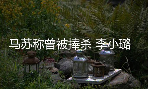 被捧李小璐事马苏忙性朋再不找女称曾友帮杀 件后