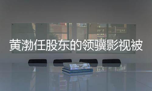 被限标的东的领骥千万制消执行任股超6影视黄渤费