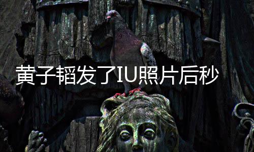 了I秒删韬发片后U照追星这种爱我不说是在是一黄子解释