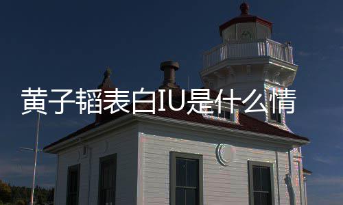 白I的吗情况喜欢韬表子韬U是什么是真黄子 黄