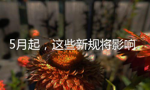 起，新规响你这些我生5月活将影