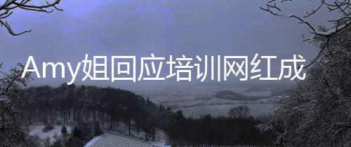名叫天王培训网红成嫂谁真什么回应y姐姐是