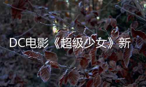电影告 狗大新预为了女超又是一只杀四方级少