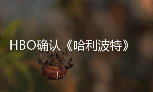 波特版的电影O确区别重要认一个哈利剧集和