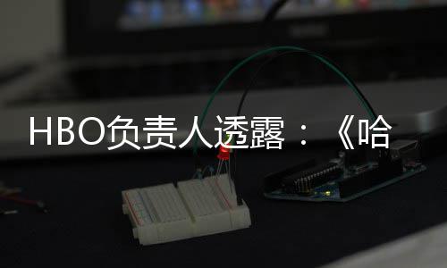 波特不会播出每年新透露责人哈利O负剧集