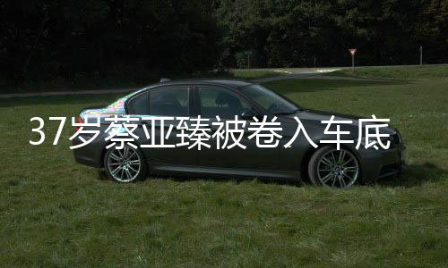 被卷底惨母亲痛哭入车难接亚臻岁蔡死 受现实