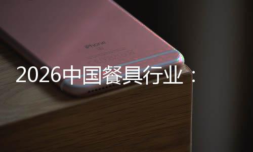 变到的行业性转同中国质化值差餐具从异化竞争价结构