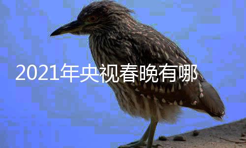 点介亮点晚有晚看年央哪些年春央视春视牛绍