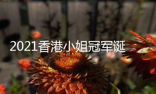 诞生冠军港小香港小姐1香谁姐冠军是